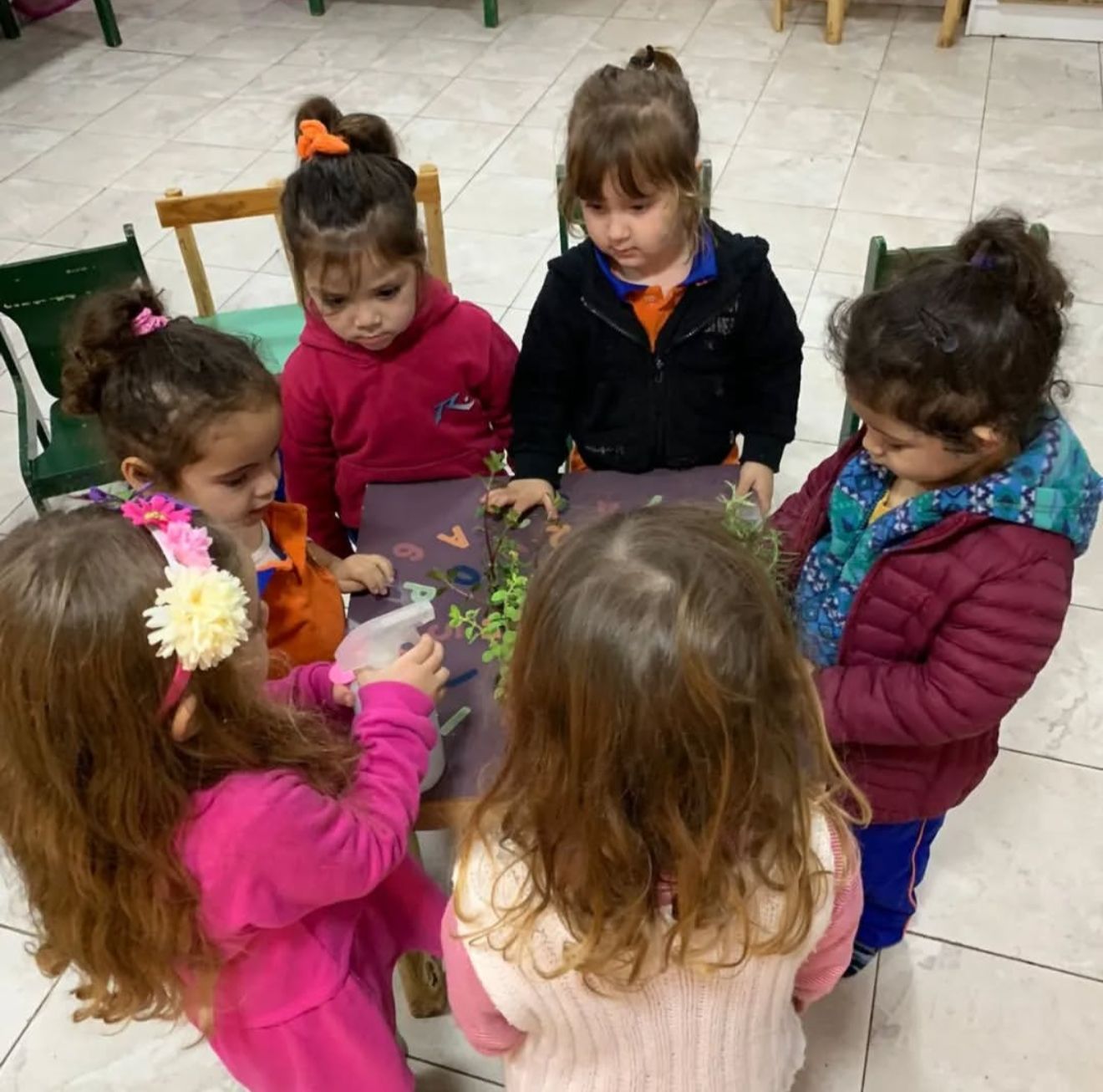 Experiencia de aprendizaje en el jardín